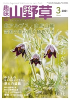 趣味の山野草 2021年3月号