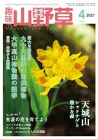 趣味の山野草 2021年4月号