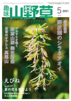 趣味の山野草 2021年5月号